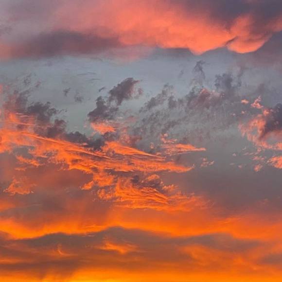 Profile Picture of Jason Campbell (@rayonjc) on Poshmark