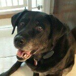 Profile Picture of michael_lundstrom54 (@michael_lundstrom54) on Instagram