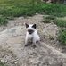Profile Picture of Rita Knop (@rita.knop.3958) on Facebook