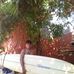 Profile Picture of Lucio Gomez (@profile.php) on Facebook