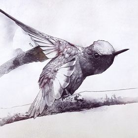 Profile Picture of Adam Relf (@adam_relf) on Pinterest