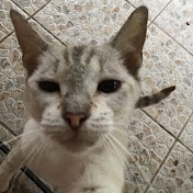 Profile Picture of Eric Robledo-Pena (@EricRobledo-Pena) on Youtube