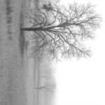 Profile Picture of Chisholm (@brose64kristawez) on Instagram