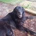 Profile Picture of Charles Brawn (@charles.brawn.127) on Facebook