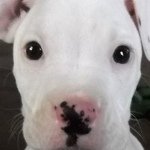 Chris Schoenberger - Instagram Profile Picture of Chris Schoenberger (@cschoenb) on Instagram