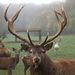 Profile Picture of Eric Kleinert (@kleinerteric) on Pinterest
