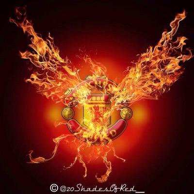 Profile Picture of Alexander Neufeld (@ManUBelize) on Twitter