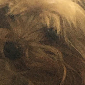 Ivy Doyle - Youtube Profile Picture of Ivy Doyle (@ivydoyle6546) on Youtube