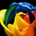 Profile Picture of Jaldip Patel (@jaldippatel104) on Twitter