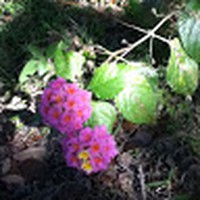 Paula Vaughan - Quora Profile Picture of Paula Vaughan (@paula-vaughan-19) on Quora