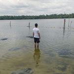 Profile Picture of Jose Francisco Carnero (@jose_carnero23) on Instagram