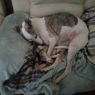 Peter Pilgrim - Facebook Profile Picture of Peter Pilgrim (@peter.pilgrim.167) on Facebook