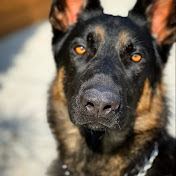 Profile Picture of P Acosta (@pacosta2376) on Youtube