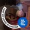 Profile Picture of Staci Parman (@kittykittydindin) on Facebook