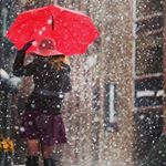 Profile Picture of Ranu (@subodh.lal2003) on Instagram