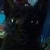 Profile Picture of Emanuel Sequeira (@emanuel.sequeira.752) on Facebook