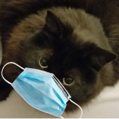 Profile Picture of Adam Brosh (@abrosh21) on Twitter
