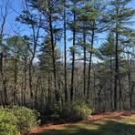 Profile Picture of Bobbie Redford August (@bobbie.august) on Facebook