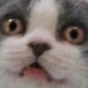 Profile Picture of Taylor McCann (@taylormccann6510) on Youtube