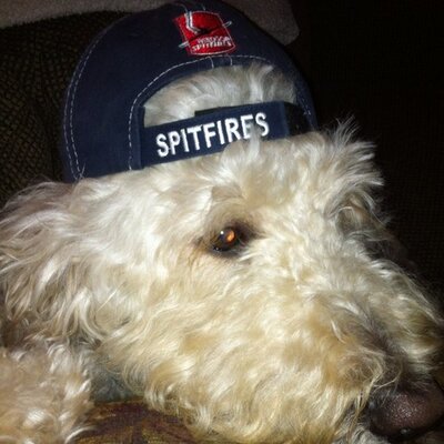 Profile Picture of Marc Peltier (@Pelly7Marc) on Twitter