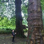 Profile Picture of Deb Pulsford (@pulsforddeb) on Instagram