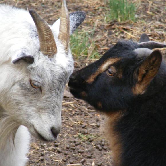 Profile Picture of David Bacon (@bacbts) on Poshmark