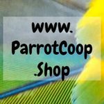 Profile Picture of Scott Reinhart (@parrotcoop) on Instagram