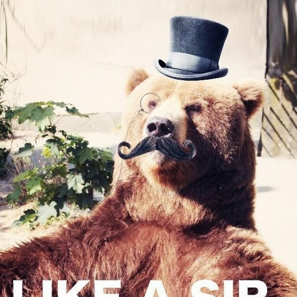 Profile Picture of Emily Eversmann (@emilyeversmann) on Poshmark