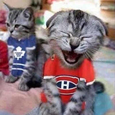 Profile Picture of Bob MacKinnon (@bmackinnon68) on Twitter