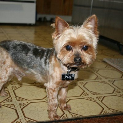 Profile Picture of GREG BENT (@GREGBENT4) on Twitter