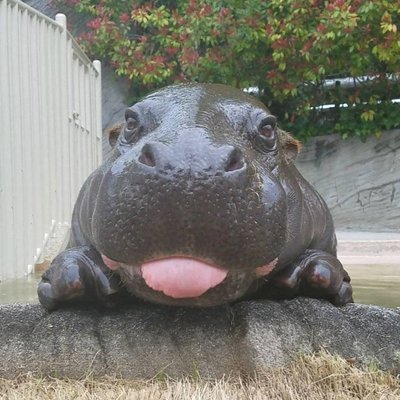 Michael DeWald - Twitter Profile Picture of Michael DeWald (@M_DeWald_) on Twitter