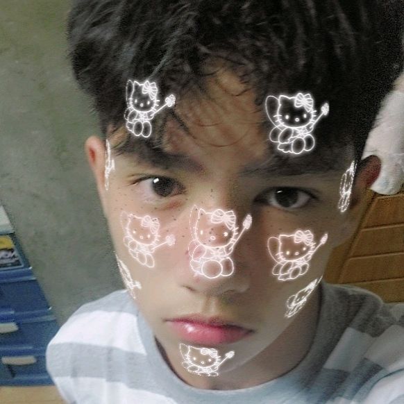 Profile Picture of Bullgogi (@jamesdiff1) on Tiktok