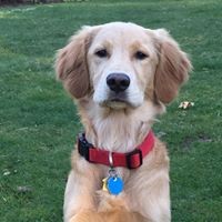 Profile Picture of Steve Zappe (@steve-zappe-2) on Quora
