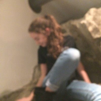 Profile Picture of keiratannenbaum (@keiratannenbaum) on Tiktok