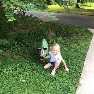 Profile Picture of David Vagner (@david.vagner.7739) on Facebook