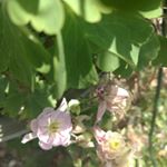 Profile Picture of Cindy and Jeff-Quales (@qualesfarm) on Instagram