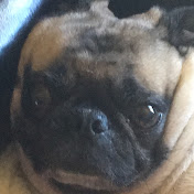 Profile Picture of Thomas Kerrigan (@thomaskerrigan3526) on Youtube