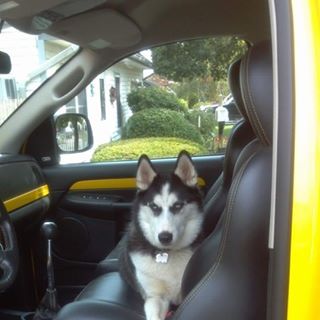 Profile Picture of Jimmy Rogers (@jimmy.rogers.796569) on Facebook