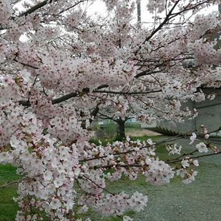 Profile Picture of Lui Kim (@lui.kim.39) on Facebook