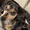 Profile Picture of madelinehiggins22 (@@madelinehiggins22) on Tiktok