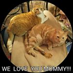 Profile Picture of JoAnn Engelson (@engelsonjoann) on Instagram