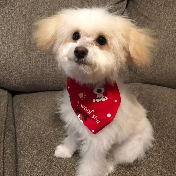 Profile Picture of Jillian Hodges (@jillianhodges) on Poshmark