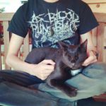 Profile Picture of Ian Winchester (@winchester_ian) on Instagram