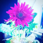 Profile Picture of Cindy Bacon (@bacon_cindy) on Instagram