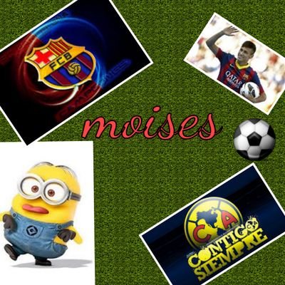 Profile Picture of Moises Nava Alvarez (@moisesalvarez75) on Twitter