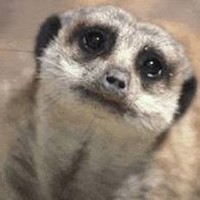 Profile Picture of Andreas Heinz (@andreas-heinz-4) on Quora