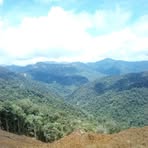 Profile Picture of David Paika (@David-Paika) on Facebook