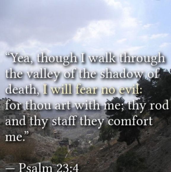 Profile Picture of Jaydin Moliere (@jaydinmoliere) on Poshmark