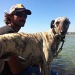 Profile Picture of Danny Napper (@napdnap) on Instagram