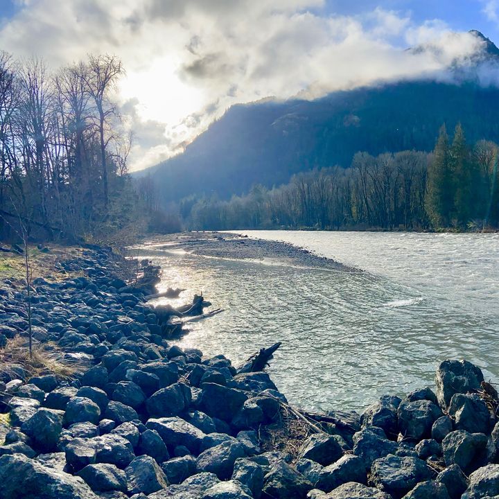 Profile Picture of Alina Cordova (@@seekingnature) on Tiktok